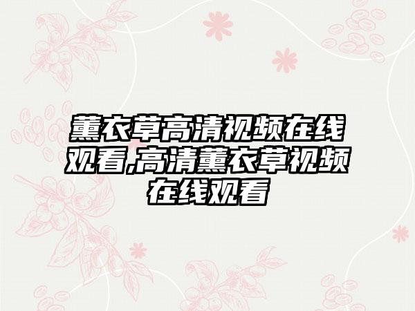 薰衣草高清视频在线观看,高清薰衣草视频在线观看