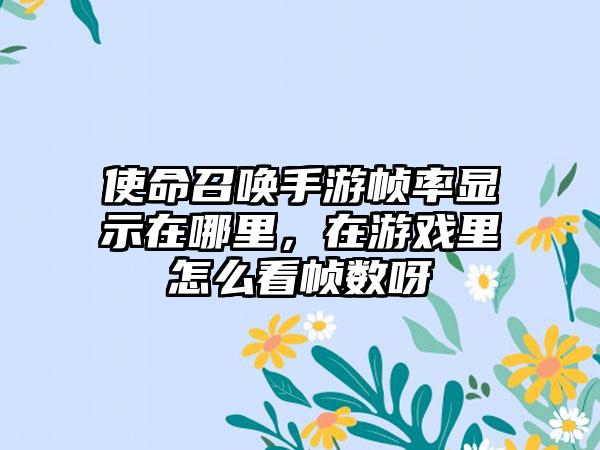 使命召唤手游帧率显示在哪里，在游戏里怎么看帧数呀