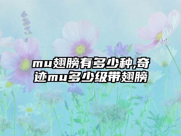 mu翅膀有多少种,奇迹mu多少级带翅膀