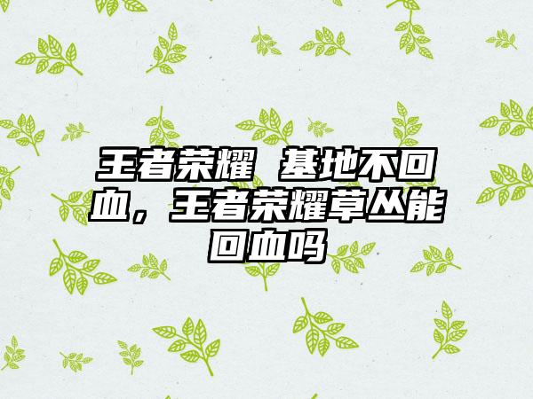 王者荣耀 基地不回血，王者荣耀草丛能回血吗