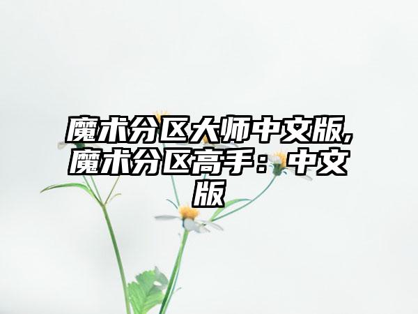 魔术分区大师中文版,魔术分区高手：中文版