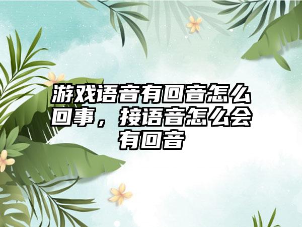 游戏语音有回音怎么回事，接语音怎么会有回音