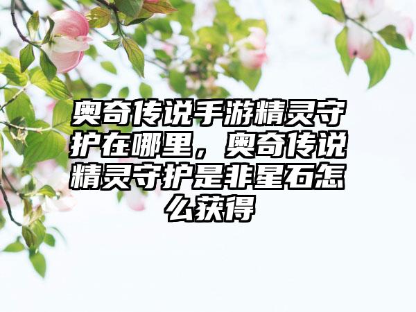 奥奇传说手游精灵守护在哪里，奥奇传说精灵守护是非星石怎么获得