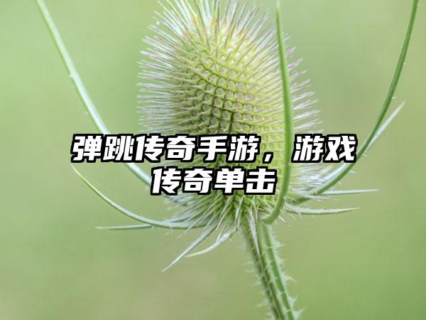 弹跳传奇手游，游戏传奇单击