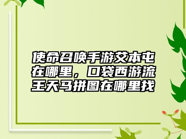 使命召唤手游艾本屯在哪里，口袋西游流王天马拼图在哪里找