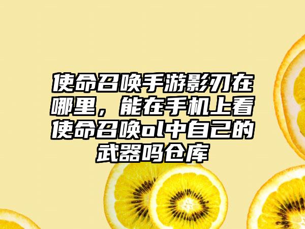使命召唤手游影刃在哪里，能在手机上看使命召唤ol中自己的武器吗仓库