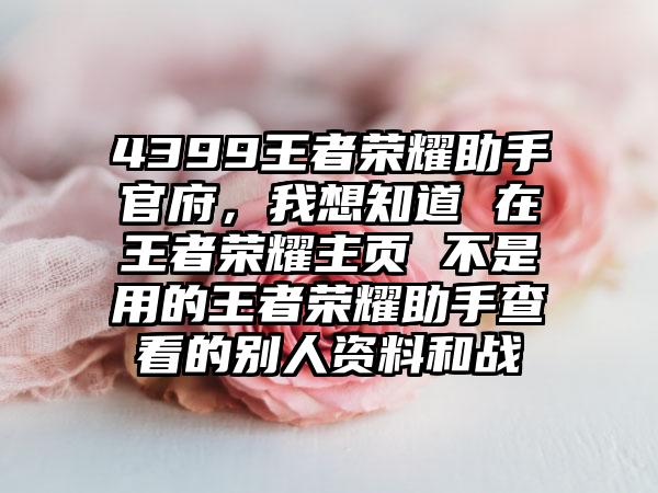 4399王者荣耀助手官府，我想知道 在王者荣耀主页 不是用的王者荣耀助手查看的别人资料和战