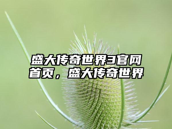 盛大传奇世界3官网首页，盛大传奇世界