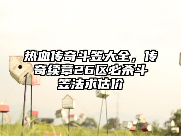 热血传奇斗笠大全，传奇续章26区必杀斗笠法求估价