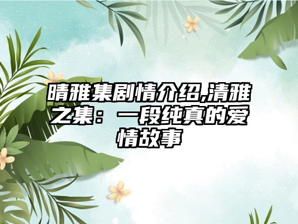 晴雅集剧情介绍,清雅之集：一段纯真的爱情故事
