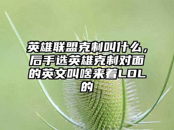 英雄联盟克制叫什么，后手选英雄克制对面的英文叫啥来着LOL的