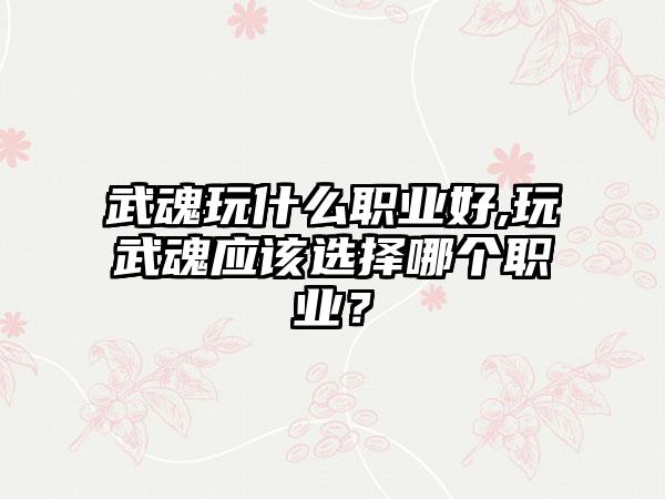 武魂玩什么职业好,玩武魂应该选择哪个职业？