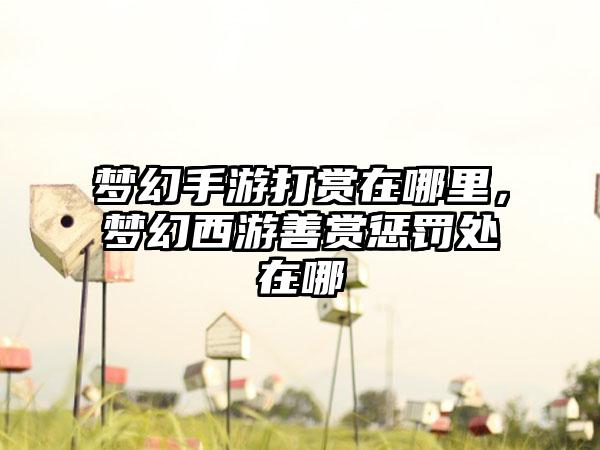 梦幻手游打赏在哪里，梦幻西游善赏惩罚处在哪