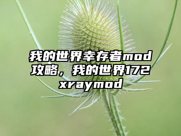 我的世界幸存者mod攻略，我的世界172xraymod