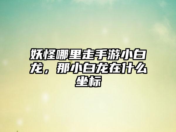 妖怪哪里走手游小白龙，那小白龙在什么坐标