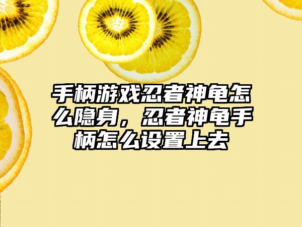 手柄游戏忍者神龟怎么隐身，忍者神龟手柄怎么设置上去