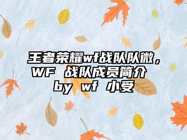 王者荣耀wf战队队微，WF 战队成员简介 by wf 小受