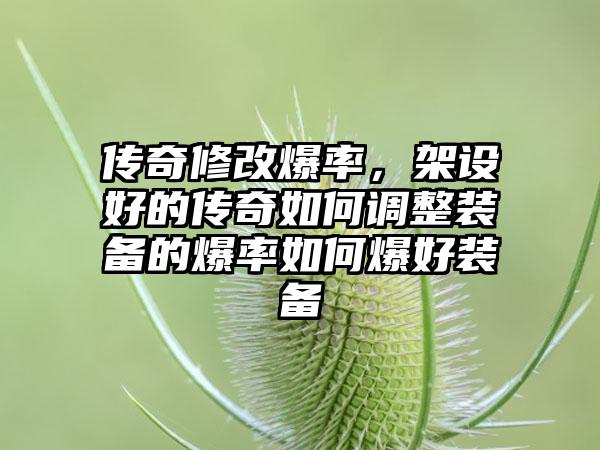 传奇修改爆率，架设好的传奇如何调整装备的爆率如何爆好装备