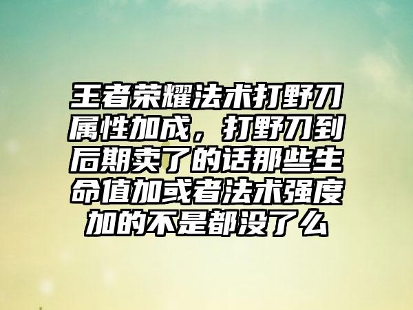 王者荣耀法术打野刀属性加成，打野刀到后期卖了的话那些生命值加或者法术强度加的不是都没了么