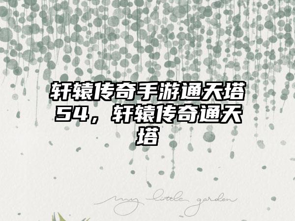 轩辕传奇手游通天塔54，轩辕传奇通天塔