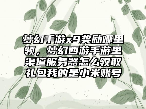 梦幻手游x9奖励哪里领，梦幻西游手游里渠道服务器怎么领取礼包我的是小米账号