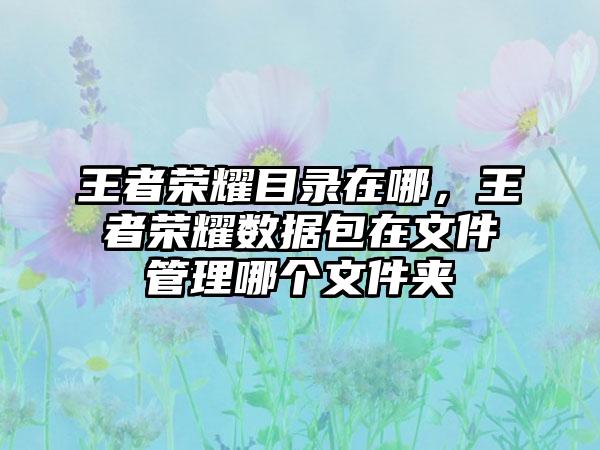 王者荣耀目录在哪,王者荣耀数据包在文件管理哪个文件夹