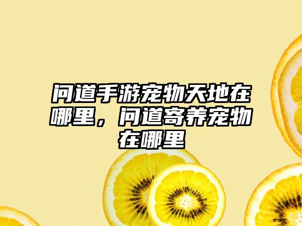 问道手游宠物天地在哪里，问道寄养宠物在哪里