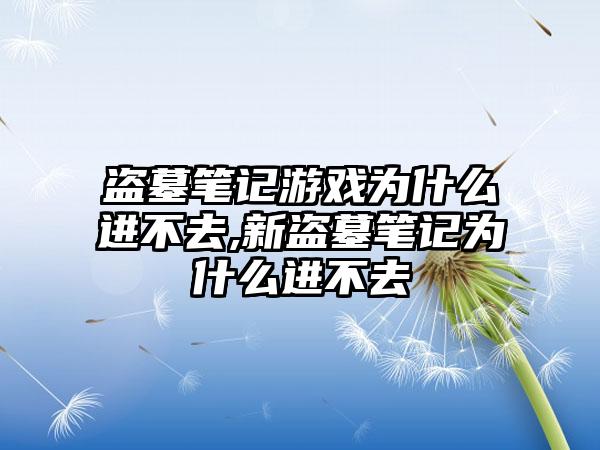 盗墓笔记游戏为什么进不去,新盗墓笔记为什么进不去