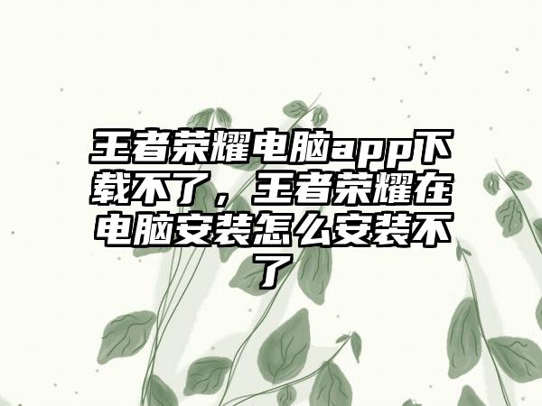 王者荣耀电脑app下载不了，王者荣耀在电脑安装怎么安装不了
