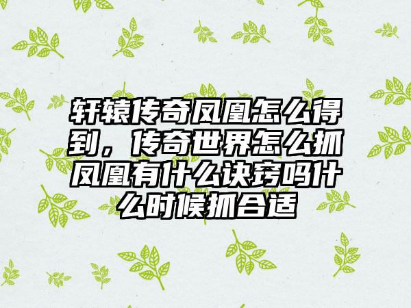 轩辕传奇凤凰怎么得到，传奇世界怎么抓凤凰有什么诀窍吗什么时候抓合适