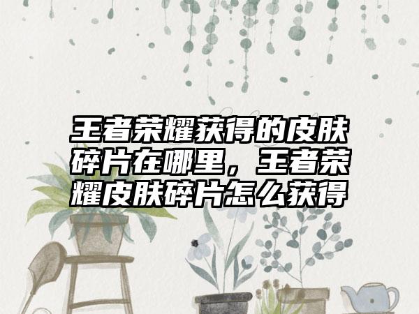 王者荣耀获得的皮肤碎片在哪里，王者荣耀皮肤碎片怎么获得