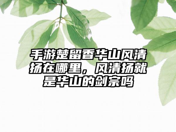 手游楚留香华山风清扬在哪里，风清扬就是华山的剑宗吗