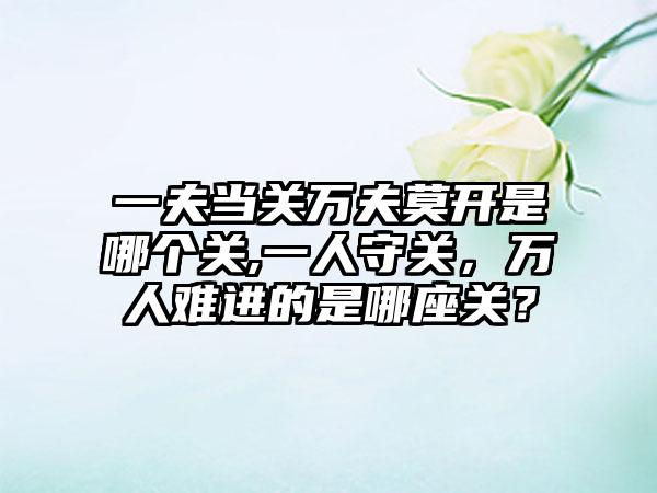 一夫当关万夫莫开是哪个关,一人守关，万人难进的是哪座关？