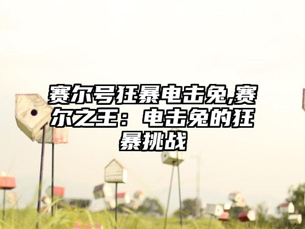 赛尔号狂暴电击兔,赛尔之王：电击兔的狂暴挑战