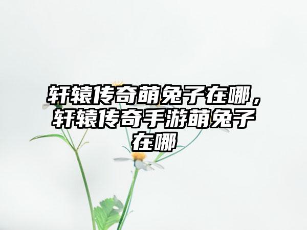 轩辕传奇萌兔子在哪，轩辕传奇手游萌兔子在哪