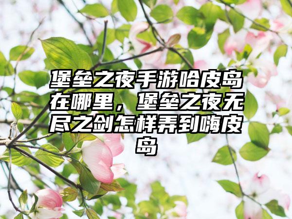 堡垒之夜手游哈皮岛在哪里，堡垒之夜无尽之剑怎样弄到嗨皮岛