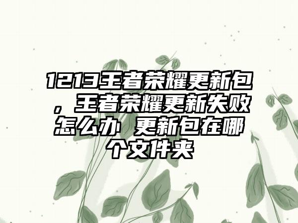 1213王者荣耀更新包，王者荣耀更新失败怎么办 更新包在哪个文件夹