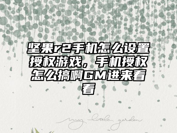 坚果r2手机怎么设置授权游戏，手机授权怎么搞啊GM进来看看
