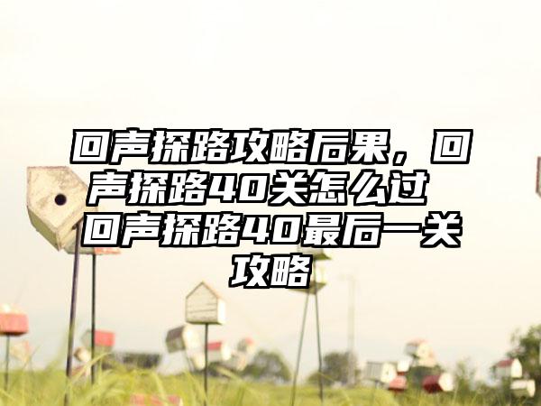 回声探路攻略后果，回声探路40关怎么过 回声探路40最后一关攻略