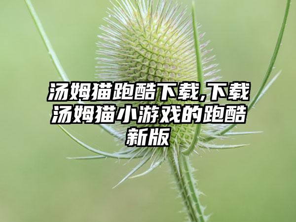 汤姆猫跑酷下载,下载汤姆猫小游戏的跑酷新版