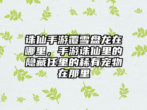 诛仙手游覆雪盘龙在哪里，手游诛仙里的隐藏任里的稀有宠物在那里