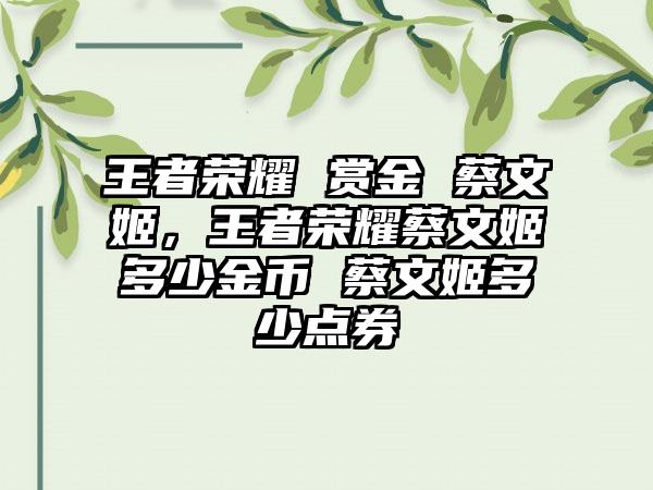 王者荣耀 赏金 蔡文姬，王者荣耀蔡文姬多少金币 蔡文姬多少点券