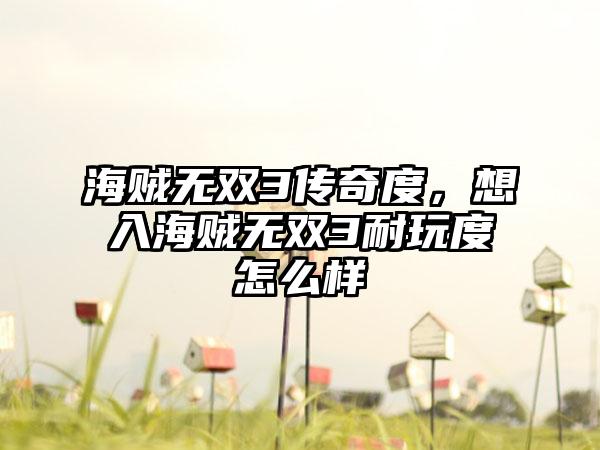 海贼无双3传奇度，想入海贼无双3耐玩度怎么样