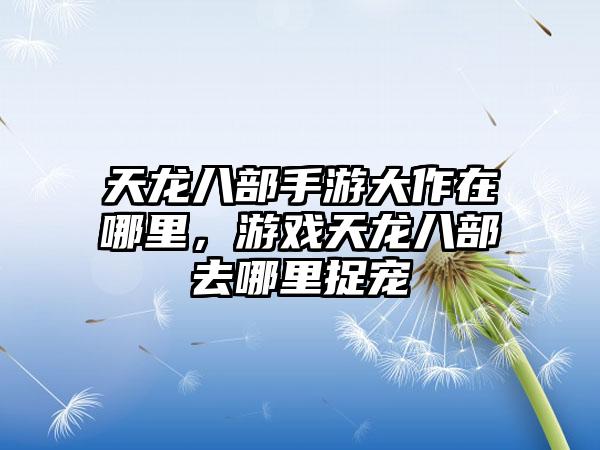 天龙八部手游大作在哪里，游戏天龙八部去哪里捉宠