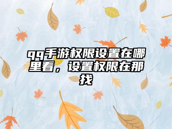 qq手游权限设置在哪里看，设置权限在那找