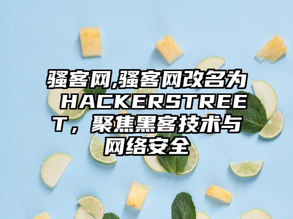 骚客网,骚客网改名为 HACKERSTREET，聚焦黑客技术与网络安全