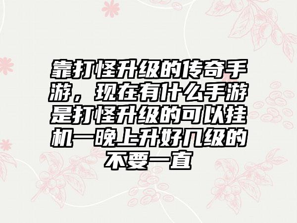 靠打怪升级的传奇手游，现在有什么手游是打怪升级的可以挂机一晚上升好几级的不要一直