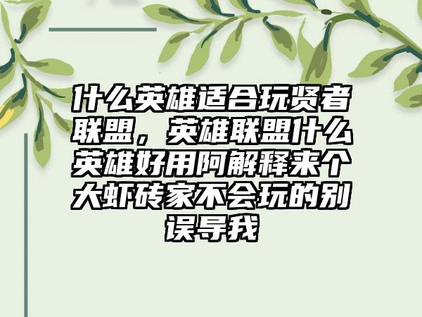 什么英雄适合玩贤者联盟，英雄联盟什么英雄好用阿解释来个大虾砖家不会玩的别误导我