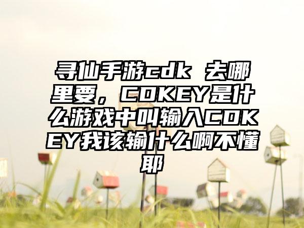 寻仙手游cdk 去哪里要，CDKEY是什么游戏中叫输入CDKEY我该输什么啊不懂耶