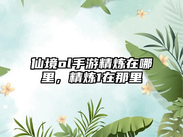 仙境ol手游精炼在哪里，精炼1在那里